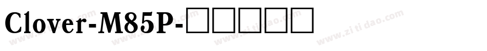 Clover-M85P字体转换