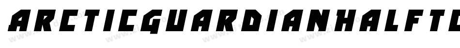 ArcticGuardianHalftoneItalic-PgXm字体转换