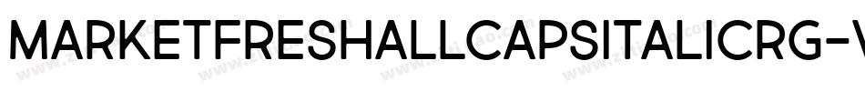 MarketFreshAllCapsItalicRg-v4W7字体转换