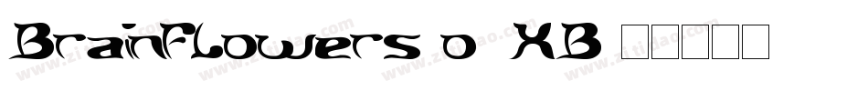 BrainFlowers-o6XB字体转换