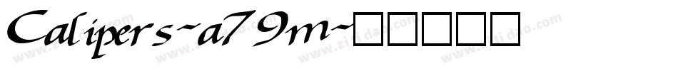 Calipers-a79m字体转换