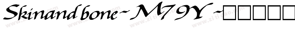 Skinandbone-M79Y字体转换