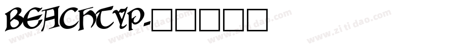 BEACHTYP字体转换