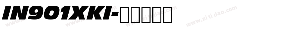 IN901XKI字体转换