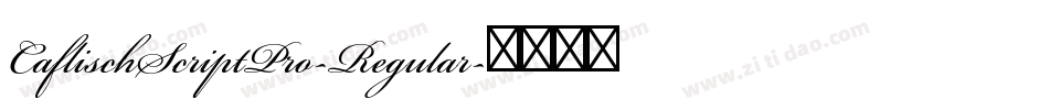 CaflischScriptPro-Regular字体转换