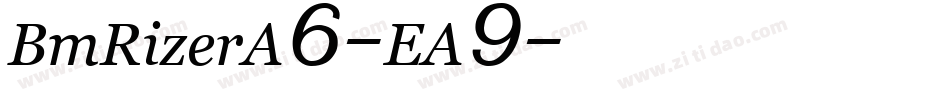 BmRizerA6-EA9字体转换