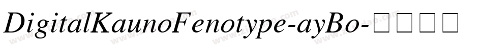DigitalKaunoFenotype-ayBo字体转换