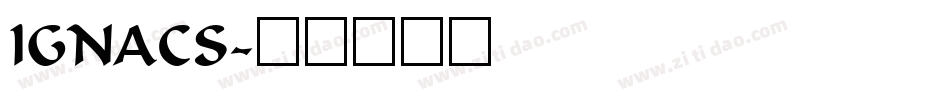 IGNACS字体转换