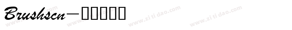 Brushscn字体转换