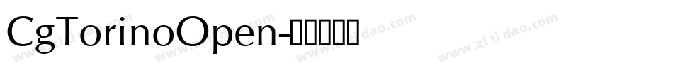 CgTorinoOpen字体转换