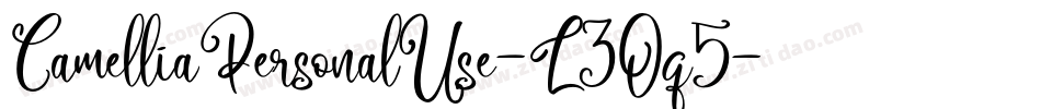 CamelliaPersonalUse-L3Oq5字体转换