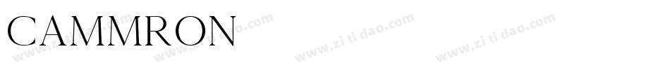 Cammron字体转换