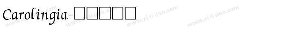 Carolingia字体转换