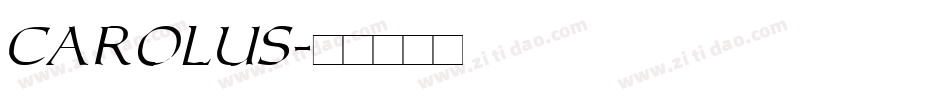 Carolus字体转换