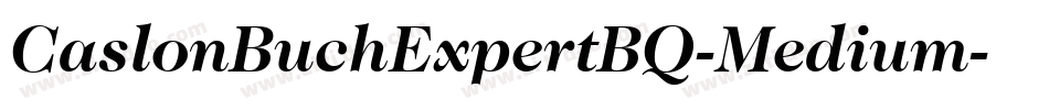 CaslonBuchExpertBQ-Medium字体转换