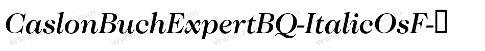 CaslonBuchExpertBQ-ItalicOsF字体转换