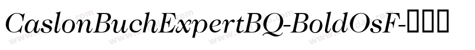 CaslonBuchExpertBQ-BoldOsF字体转换