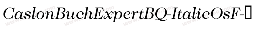 CaslonBuchExpertBQ-ItalicOsF字体转换