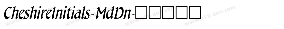 CheshireInitials-MdDn字体转换