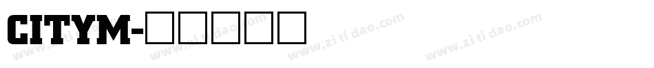 CITYM字体转换