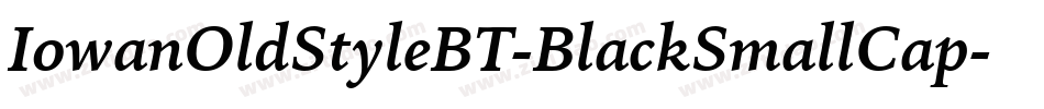 IowanOldStyleBT-BlackSmallCap字体转换