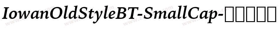 IowanOldStyleBT-SmallCap字体转换