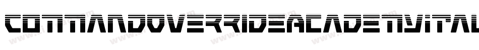 CommandOverrideAcademyItal-rLO9字体转换