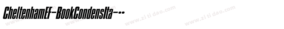 CheltenhamEF-BookCondensIta字体转换