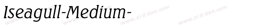 Iseagull-Medium字体转换
