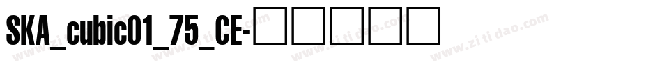 SKA_cubic01_75_CE字体转换