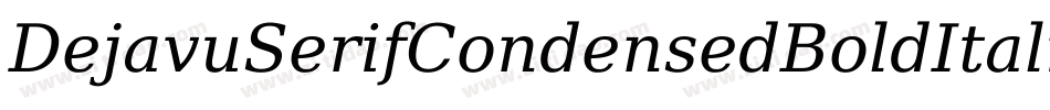 DejavuSerifCondensedBoldItalic-8jpZ字体转换