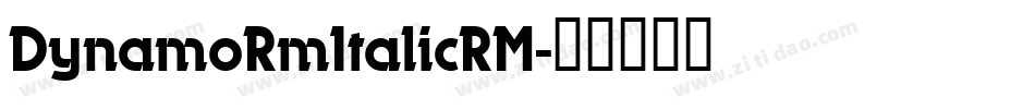 DynamoRmItalicRM字体转换