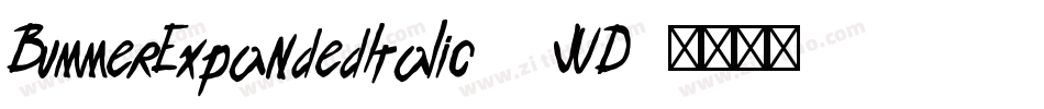 BummerExpandedItalic-8JVD字体转换