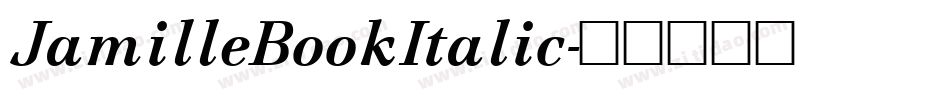 JamilleBookItalic字体转换
