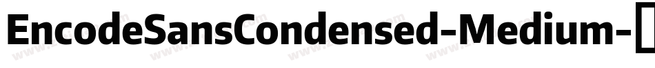 EncodeSansCondensed-Medium字体转换