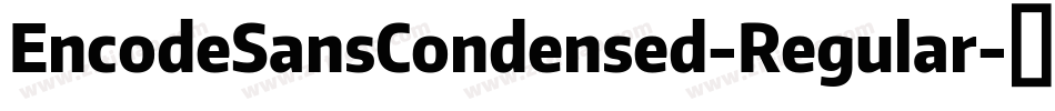 EncodeSansCondensed-Regular字体转换