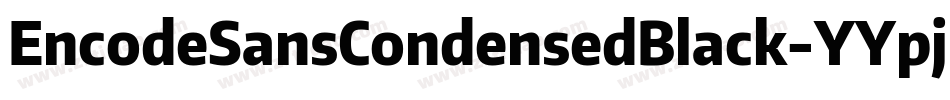 EncodeSansCondensedBlack-YYpj字体转换