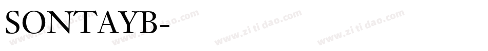SONTAYB字体转换