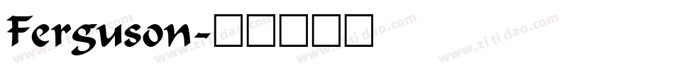 Ferguson字体转换