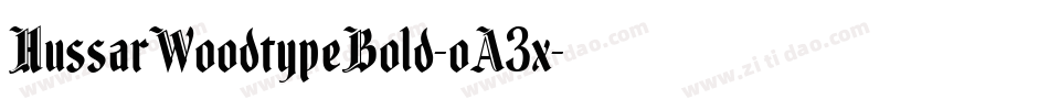 HussarWoodtypeBold-oA3x字体转换