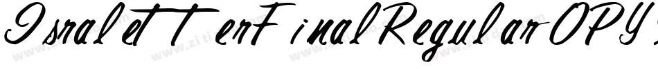 IsraletterFinalRegular-0PY9字体转换
