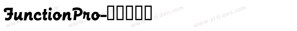 FunctionPro字体转换