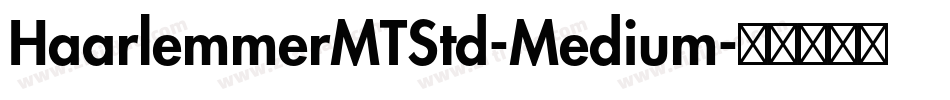 HaarlemmerMTStd-Medium字体转换