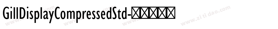 GillDisplayCompressedStd字体转换