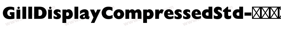 GillDisplayCompressedStd字体转换