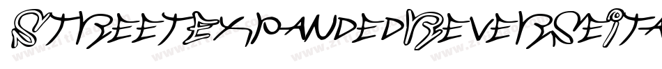 StreetExpandedReverseItalic-g7p字体转换
