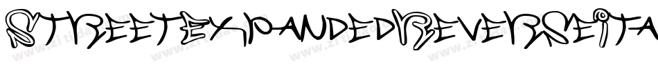 StreetExpandedReverseItalic-g7p字体转换
