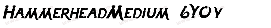 HammerheadMedium-6Y0v字体转换