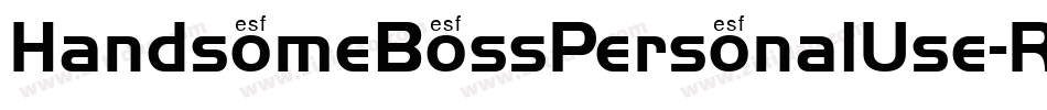 HandsomeBossPersonalUse-R6oM字体转换