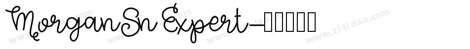 MorganSnExpert字体转换